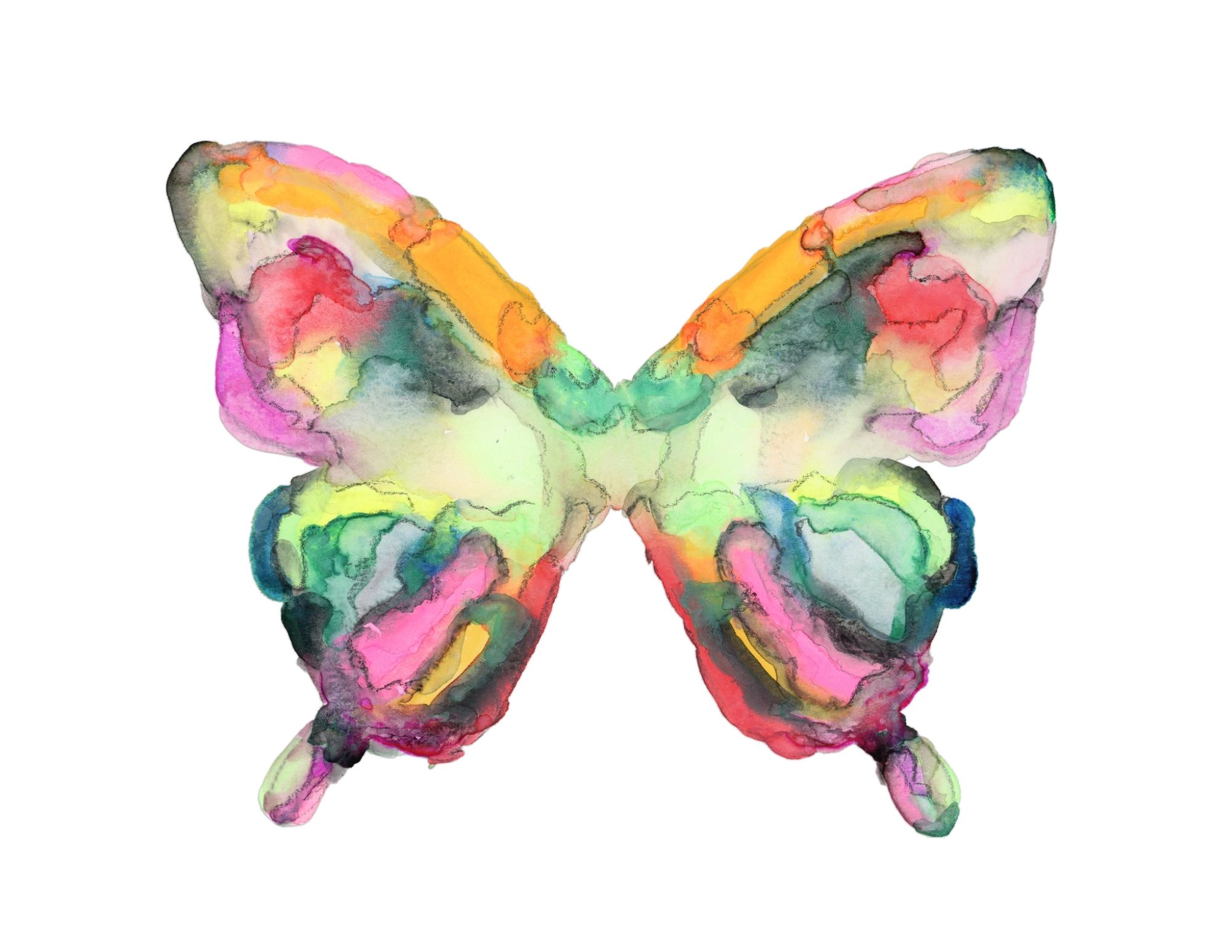 The Thomas Butterfly — Shannon Prager